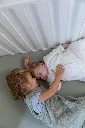d158bb6d54ac2818561de70971777b05.webp